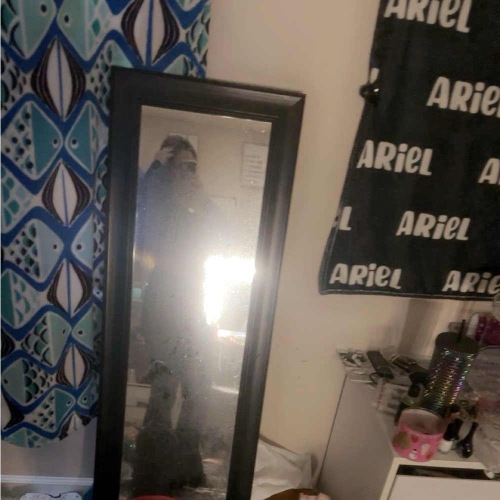 Meet your Posher, Ariel